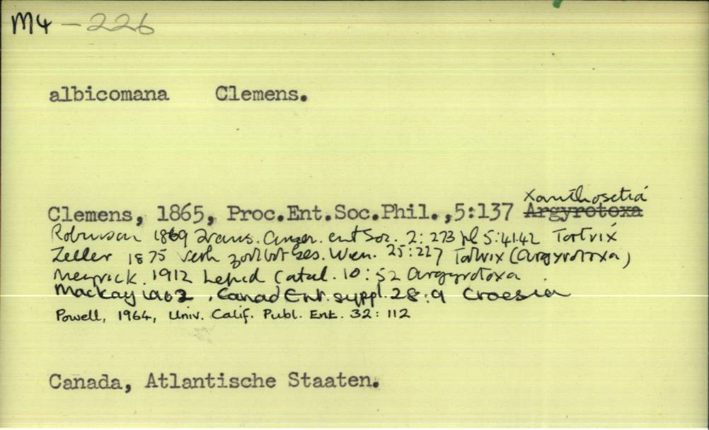 front of card